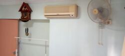 Blk 119C Kim Tian 119 (Bukit Merah), HDB 4 Rooms #634552851